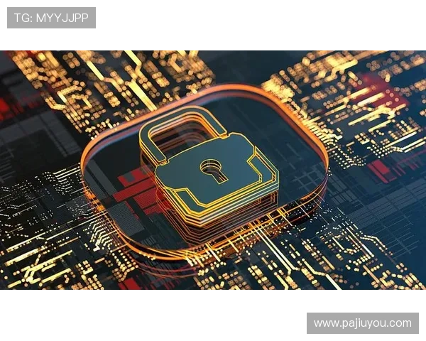 全面解析ag竟咪厅官网的安全保障措施保障玩家资金安全与隐私安全的重要性