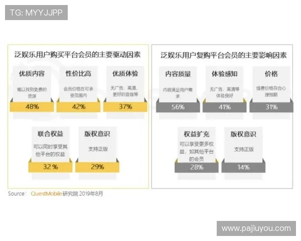 凯发集团会员注册流程图优化建议，提升注册效率与用户体验