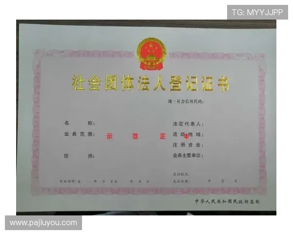 凯发娱乐账号注册成功后如何快速登录与账号安全设置指南 凯发娱乐账号注册成功后如何快速登录与账号安全设置指南