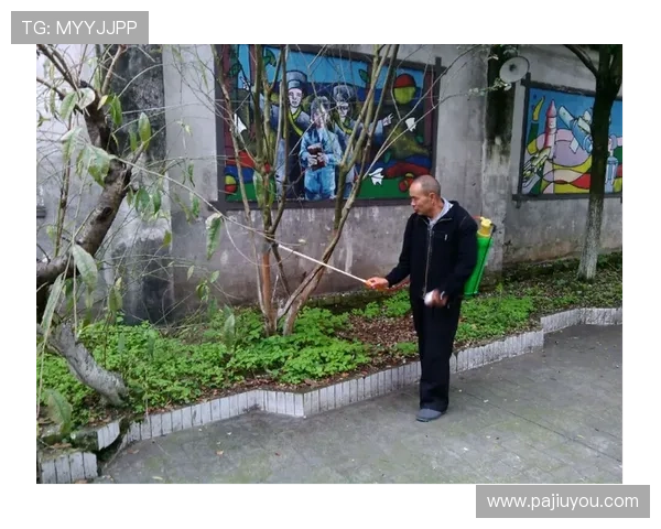 AG亚登录官网官方公告：最新优惠活动与安全保障措施全方位解析