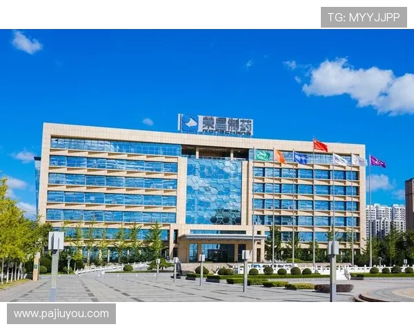 最新版本k8凯发天生赢家·一触即发全面解析,助你轻松应对各种挑战 最新版本k8凯发天生赢家·一触即发全面解析,助你轻松应对各种挑战