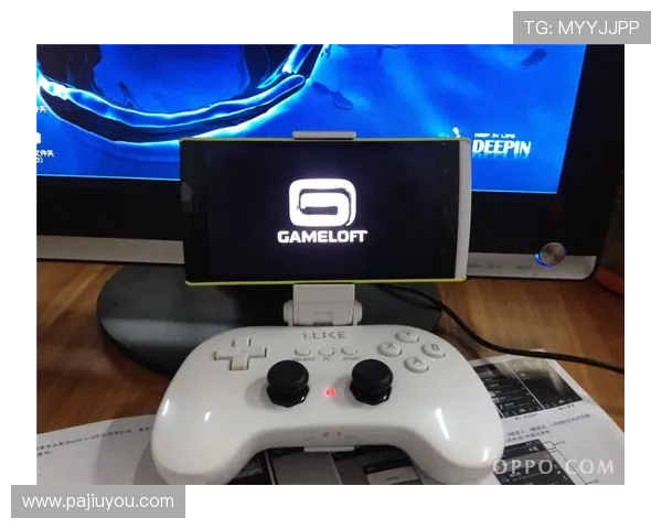 全面解析真人BG游戏所属平台及其在不同平台上的最新动态